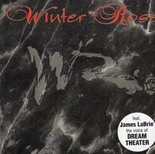 Winter Rose