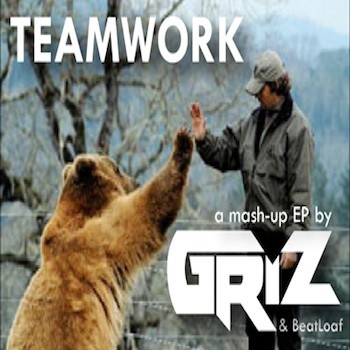TeaMWork