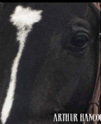 Sunday Silence