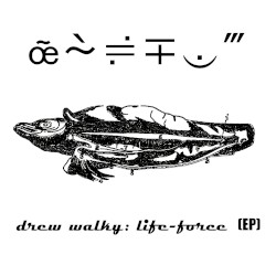 Life‐Force