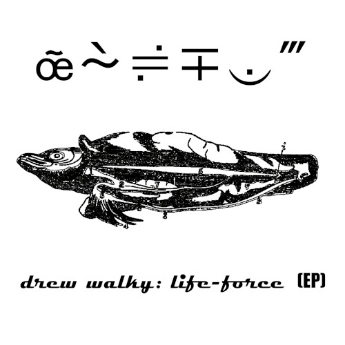 Life‐Force