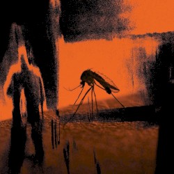 Faster Than the Radio / Mosquito