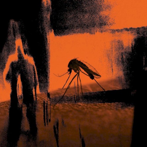 Faster Than the Radio / Mosquito