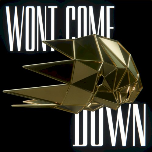 Won't Come Down