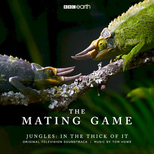 The Mating Game - Jungles: In The Thick Of It (Original Television Soundtrack)