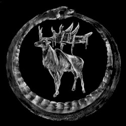 Ást