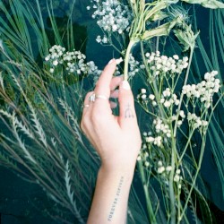 forever fifteen