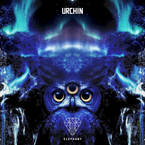 Urchin