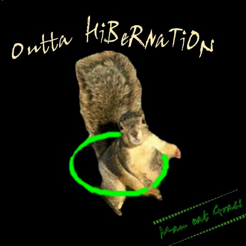 Outta Hibernation