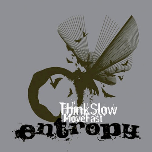 Think Slow Move Fast