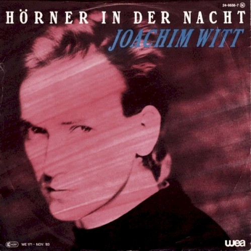 Hörner in der Nacht