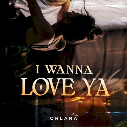 I Wanna Love Ya