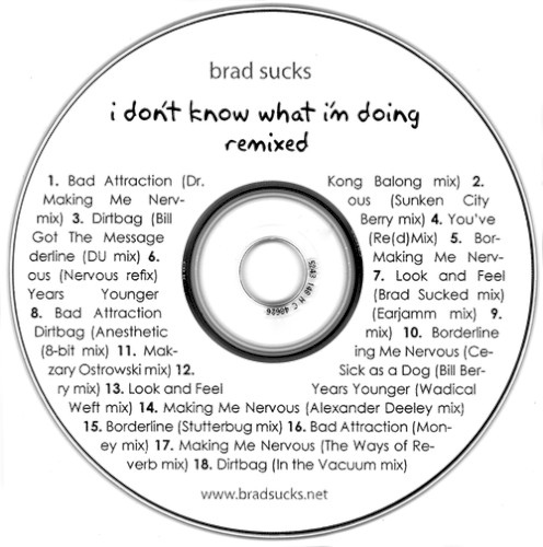 I Don't Know What I'm Doing Remixed