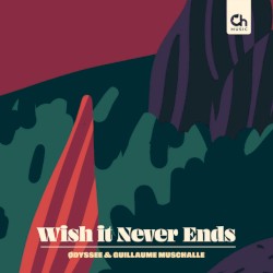 Wish It Never Ends