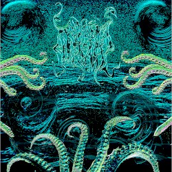 The Squid King