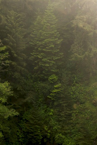 Mt. Asama