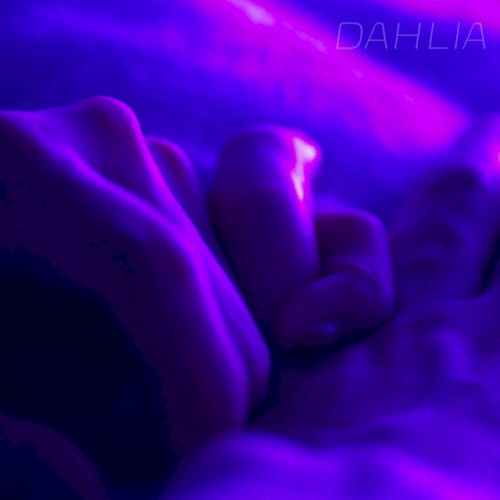 DAHLIA