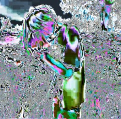 solja/benji +