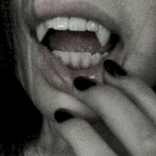 cut me bleed me