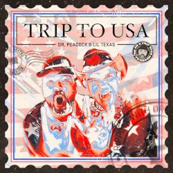 Trip to USA