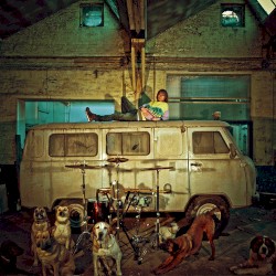 Chien d'la casse