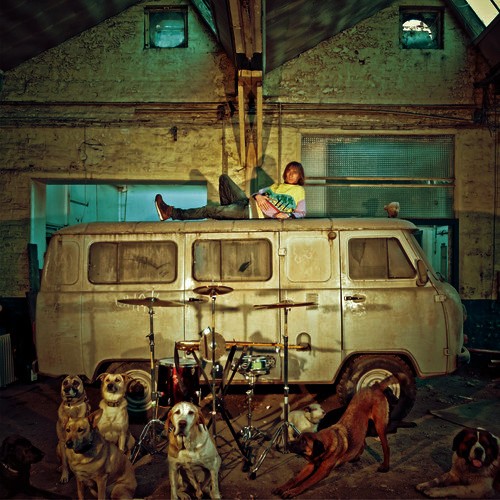 Chien d'la casse