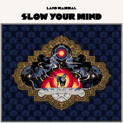 Slow Your Mind