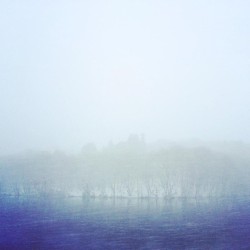 Silent Snow