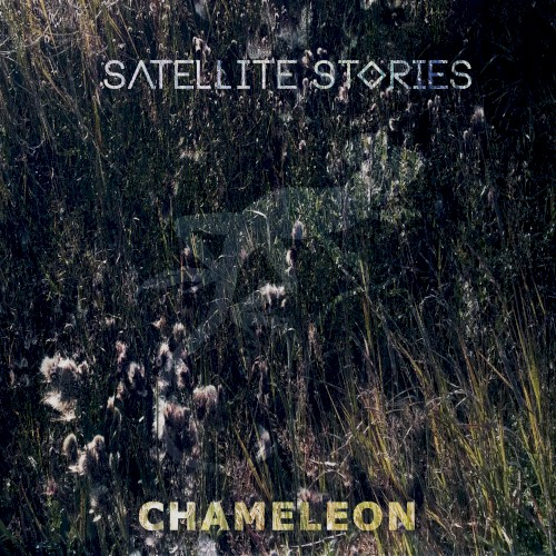 Chameleon