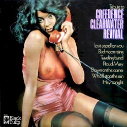 Tribute to Creedence Clearwater Revival