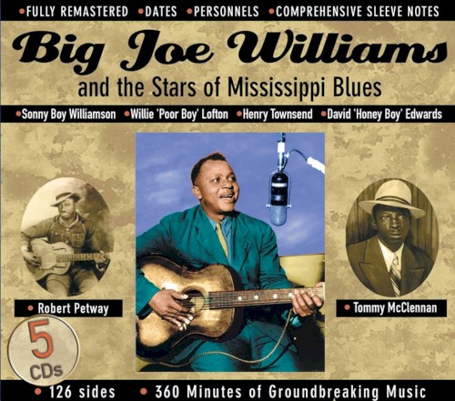 Big Joe Williams and the Stars of Mississippi Blues