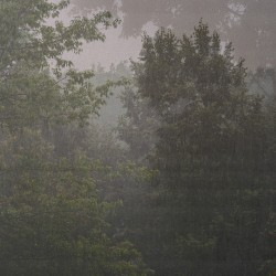 let it rain
