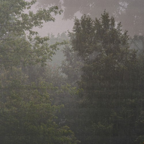 let it rain