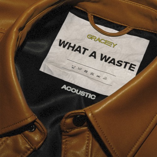 What a Waste (acoustic)