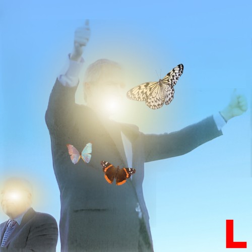 Lepidopterists