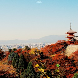 Lost in Japan II