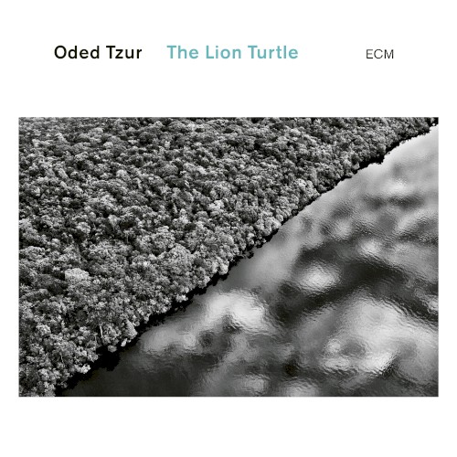 The Lion Turtle