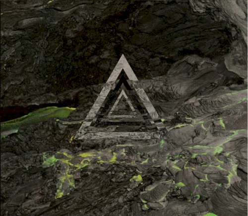 Extinction