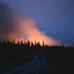 Simultaneity