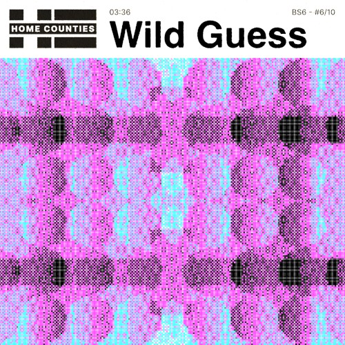 Wild Guess