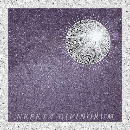Nepeta Divinorum