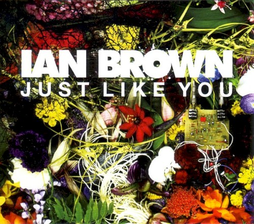 Just Like You