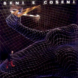 Seni e coseni