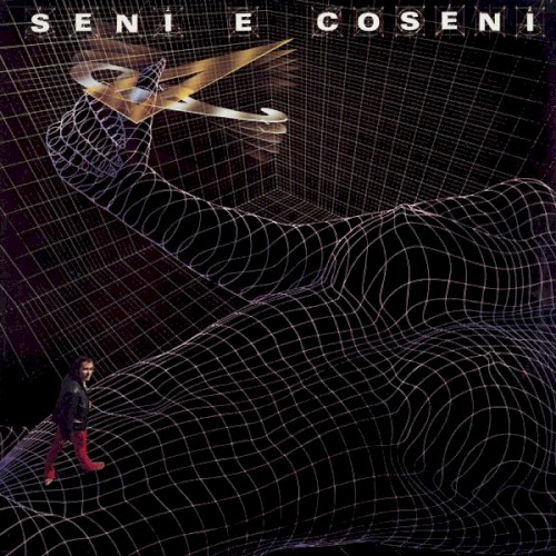 Seni e coseni