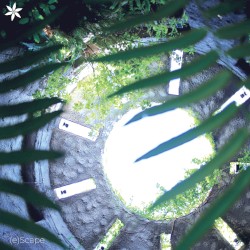 (e)Scape