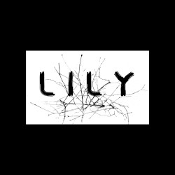 L I L Y