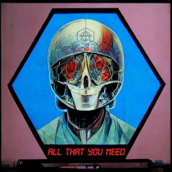 All That You Need