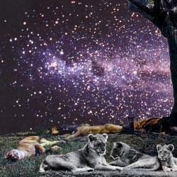 Lions of Judah