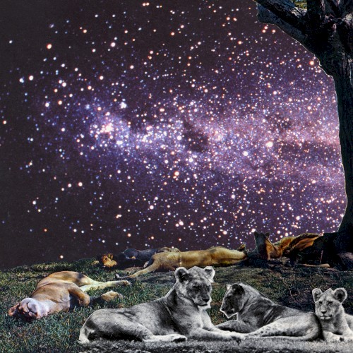 Lions of Judah