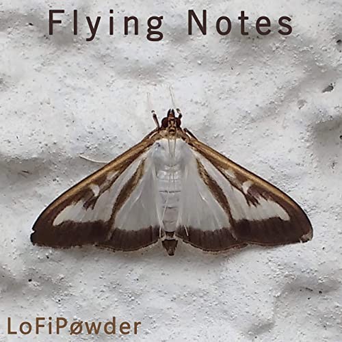 Flying Notes